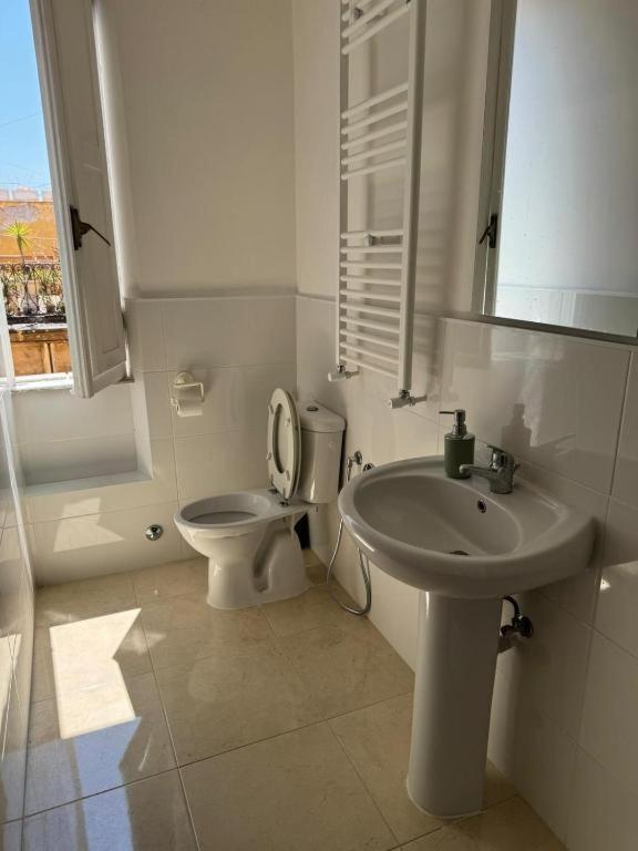 Raynova Roma Quarto foto