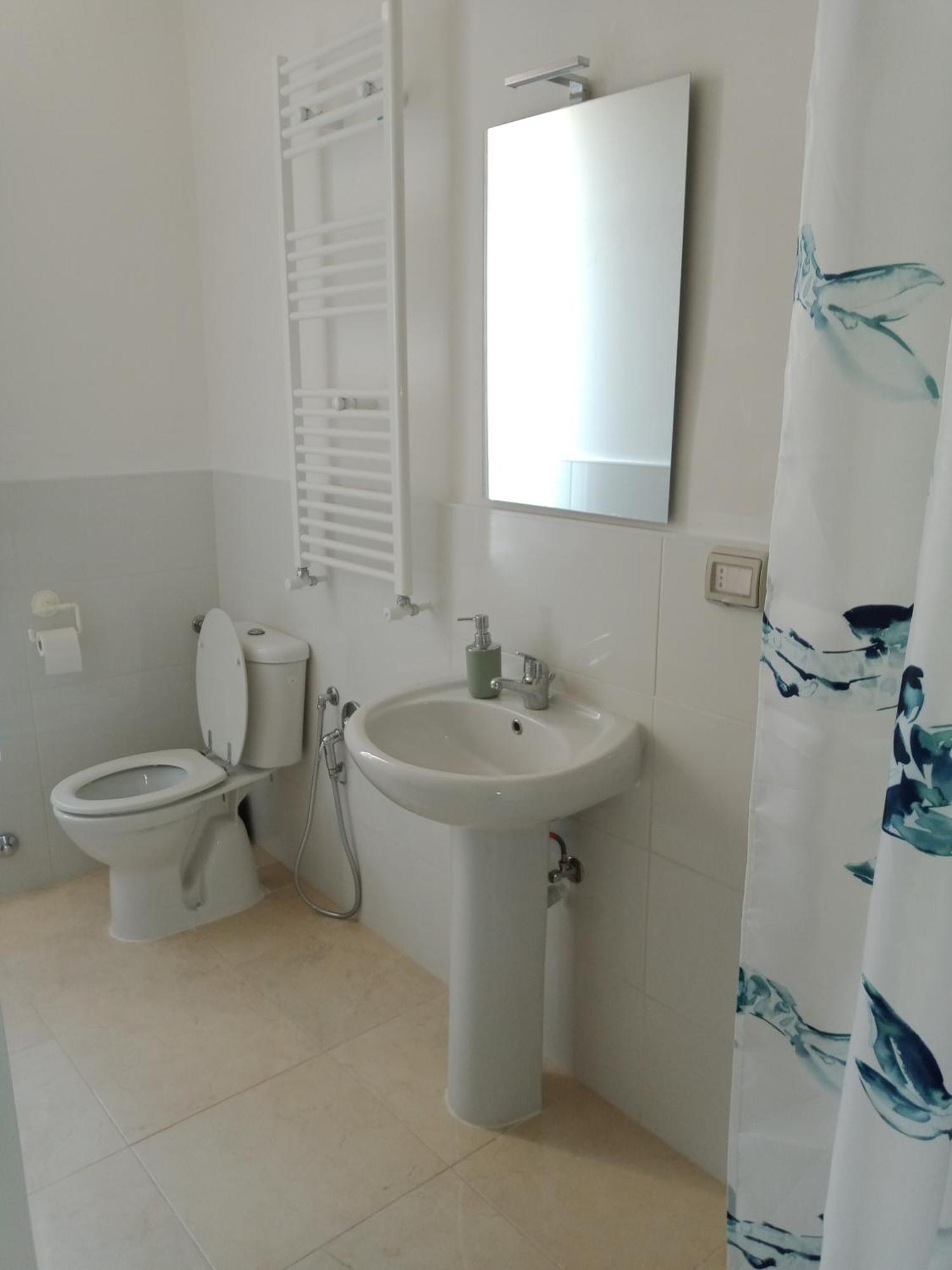 Raynova Roma Quarto foto
